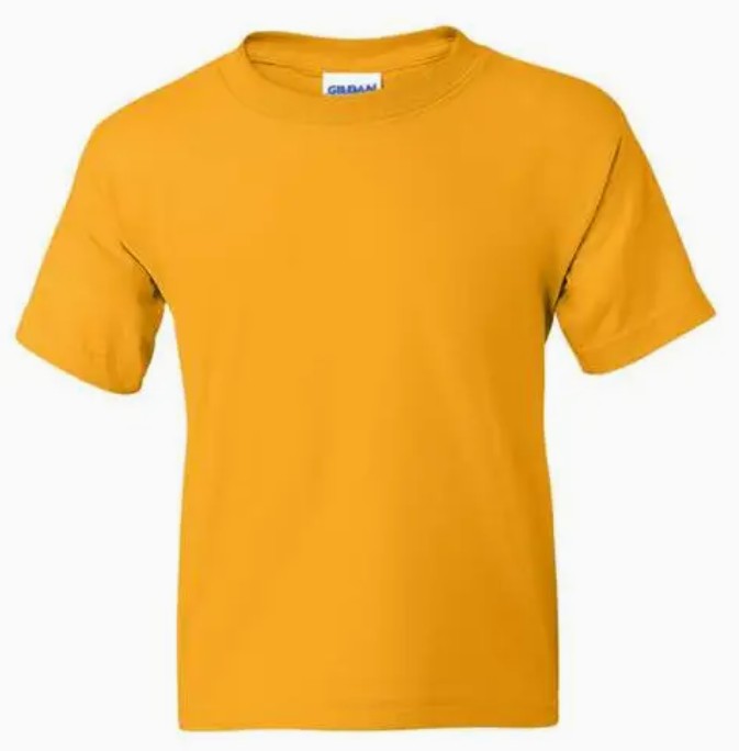 The "Pro-Youth" T-shirt