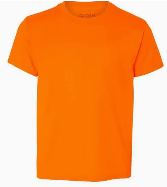 The "Pro-Youth" T-shirt